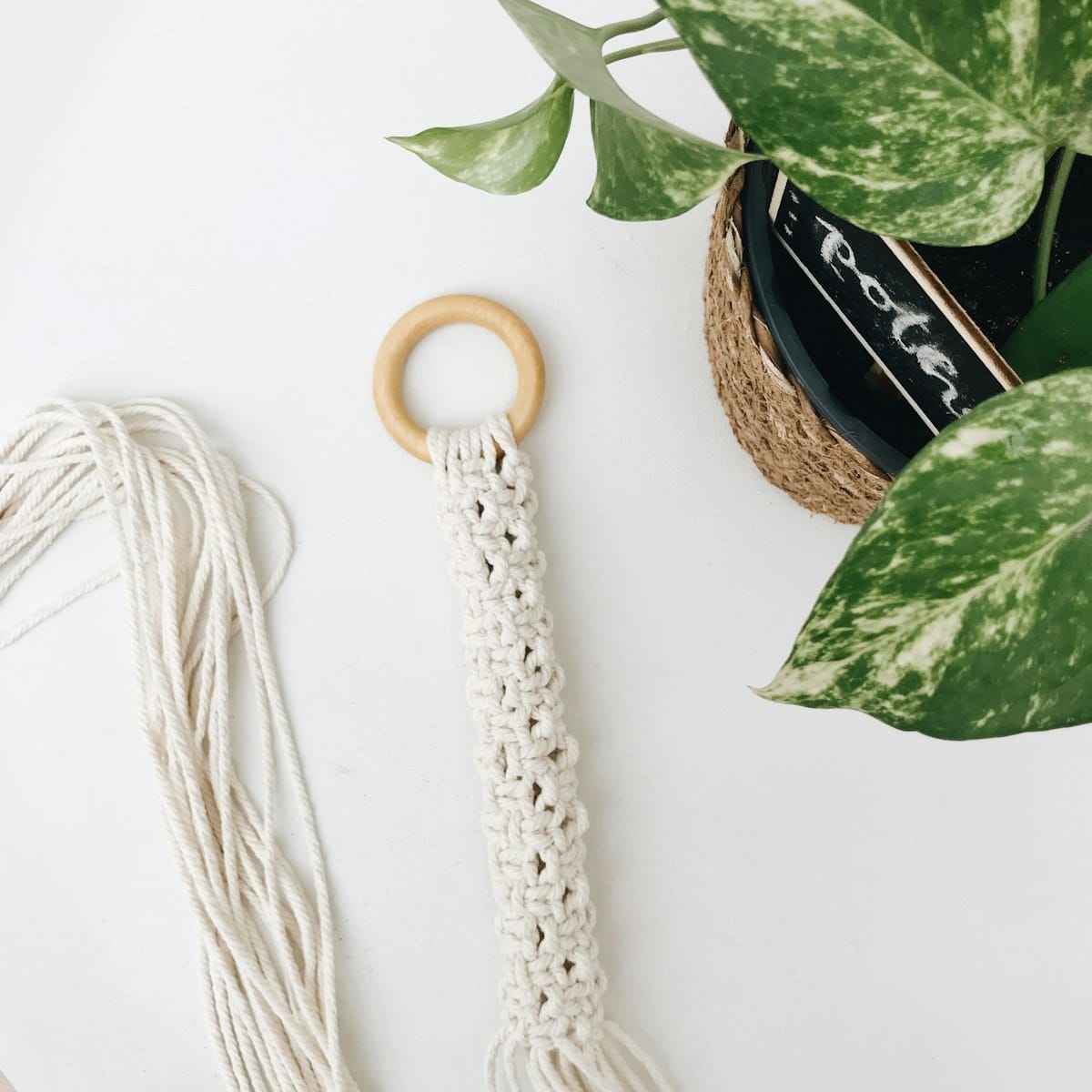 A cream macrame plant hanger next to a trailing houseplant